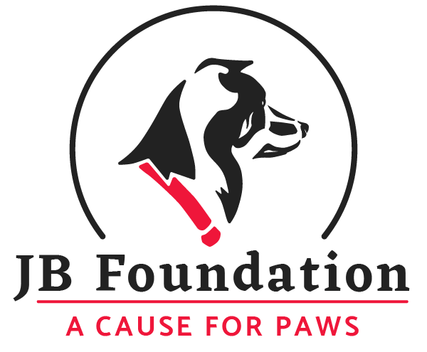 JB Foundation : A Cause for Paws - Animal Rescue Mizoram